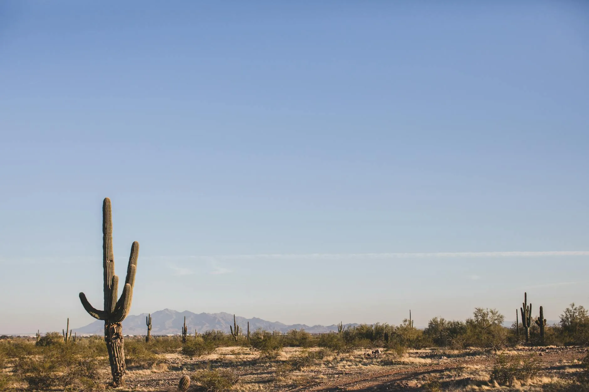 Arizona's Valley of the Sun: Phoenix and Beyond travel photography — Off The Beaten Path Travelogues