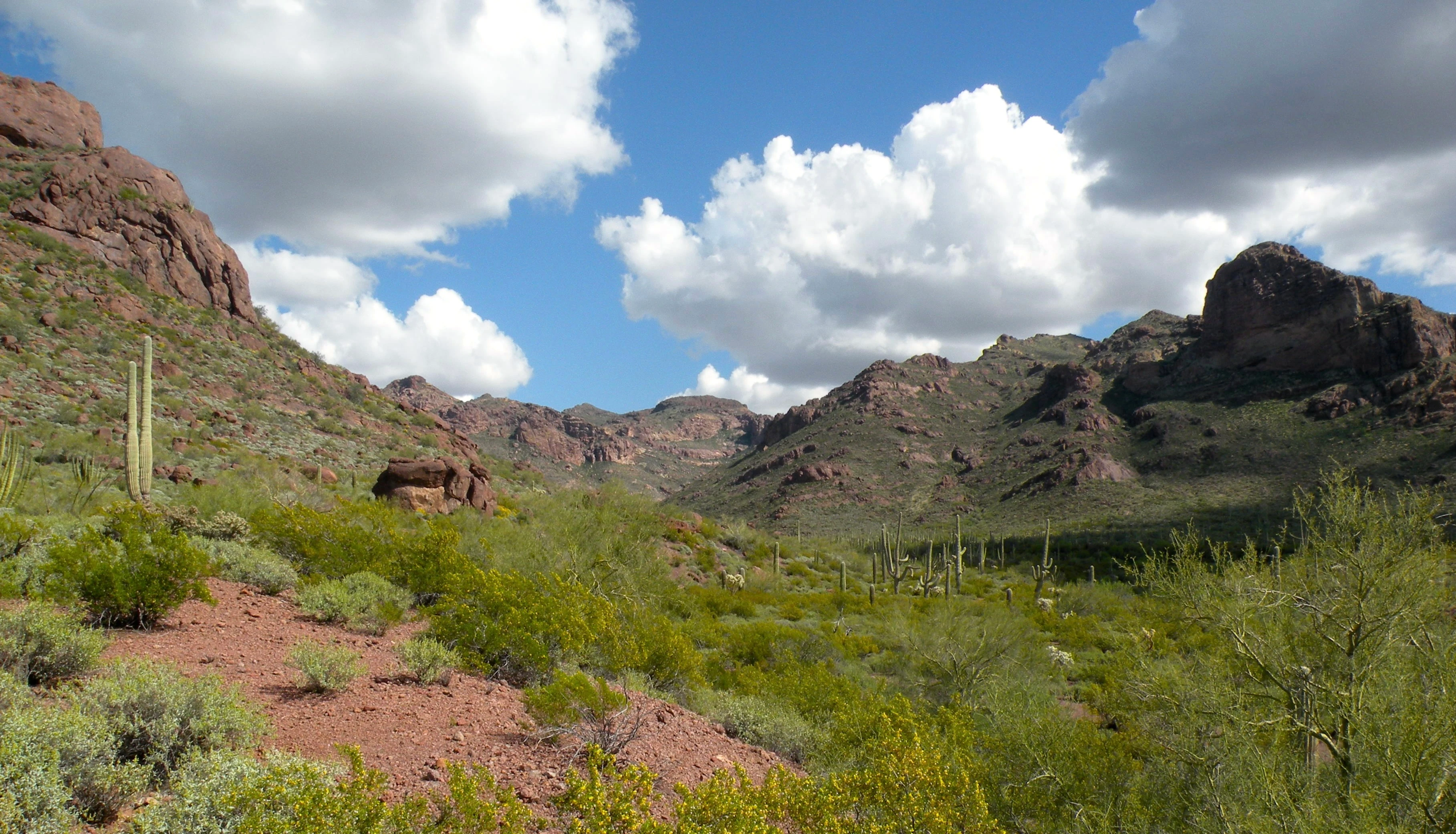 Arizona: Tucson and Beyond travel photography — Off The Beaten Path Travelogues